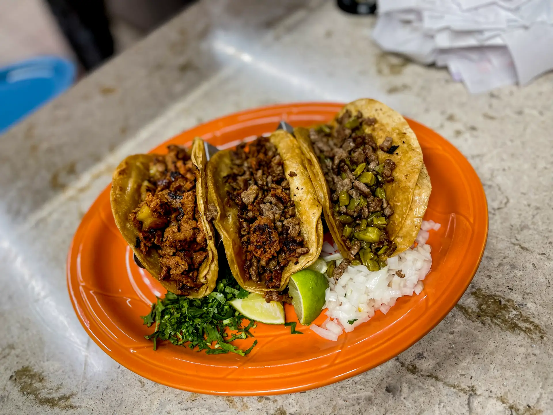 tacos_maguey